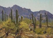 Tucson9x12